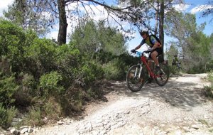 IMG_0124.JPG