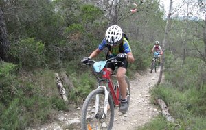 IMG_0137.JPG