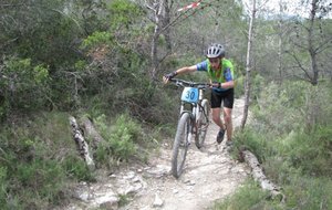 IMG_0138.JPG