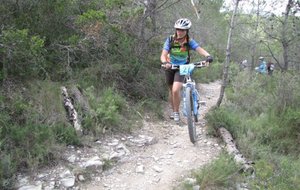 IMG_0140.JPG
